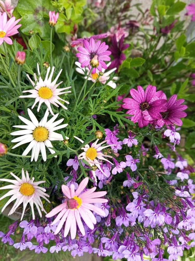 Photograph by Irena TURČINSKAJA