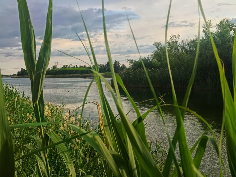 Фотография автора Дарья Колесниченко