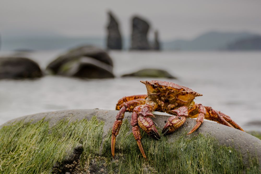 Photograph by Оксана О.
