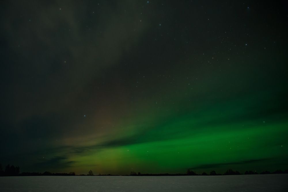 Photograph by Елена Владимировна