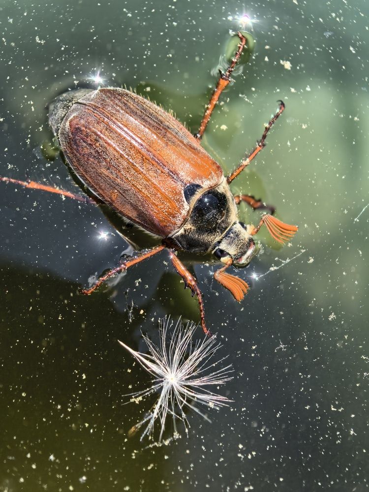 Photograph by Людмила Орловская