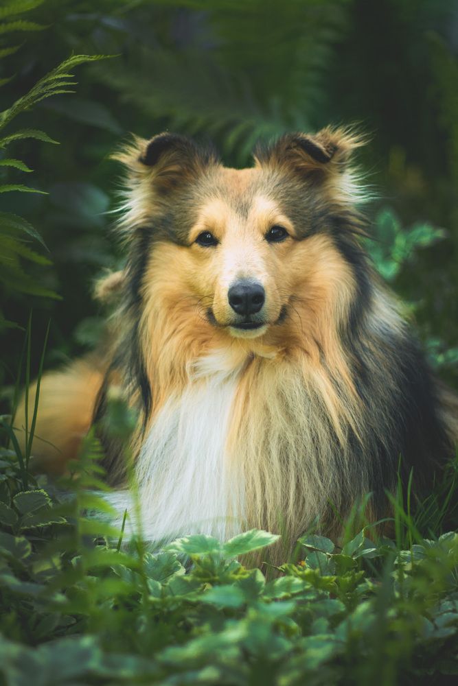 Photograph by Екатерина Попова