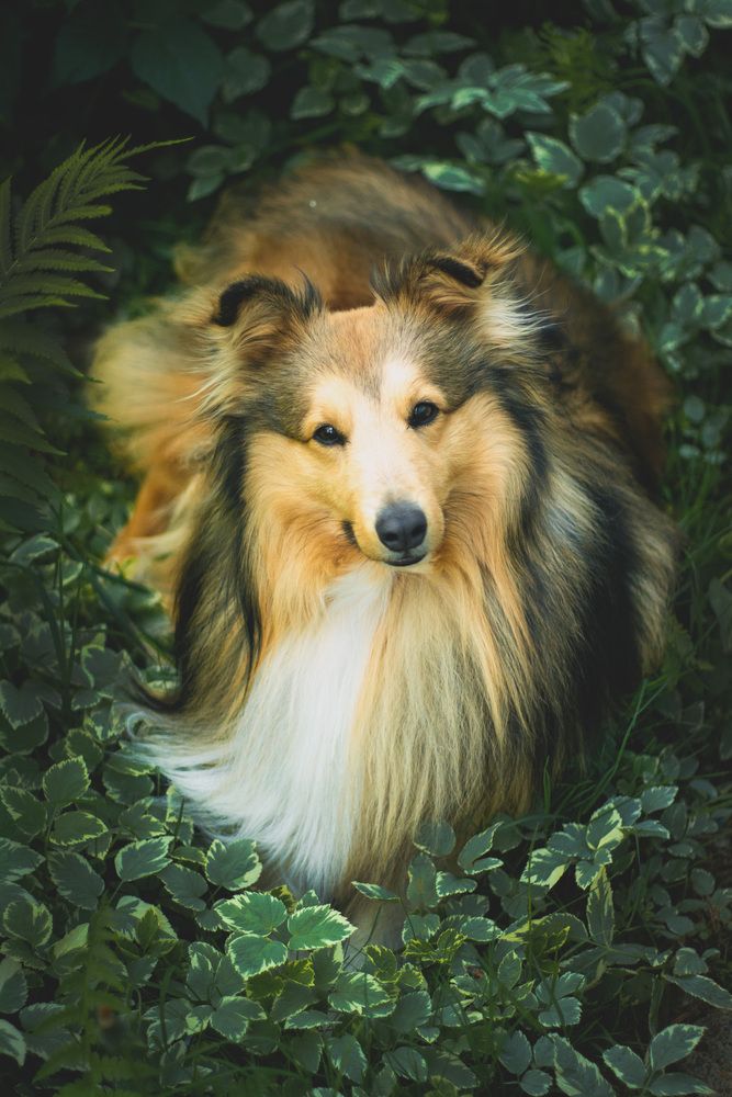 Photograph by Екатерина Попова