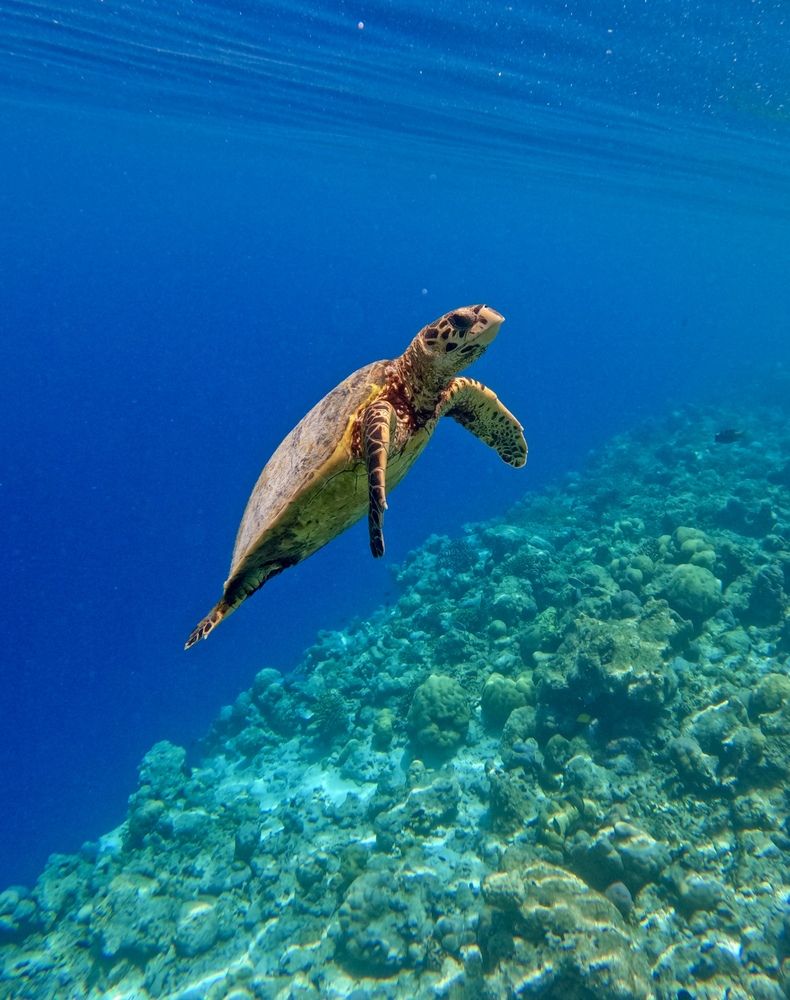 Photograph by Эльмира Самойлова