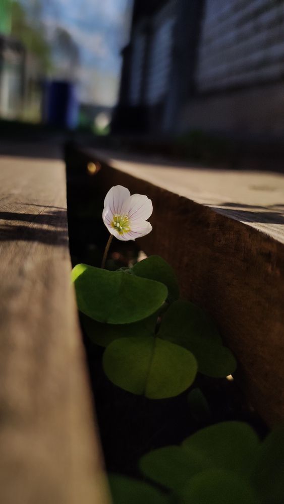 Photograph by Калюнова Наталья