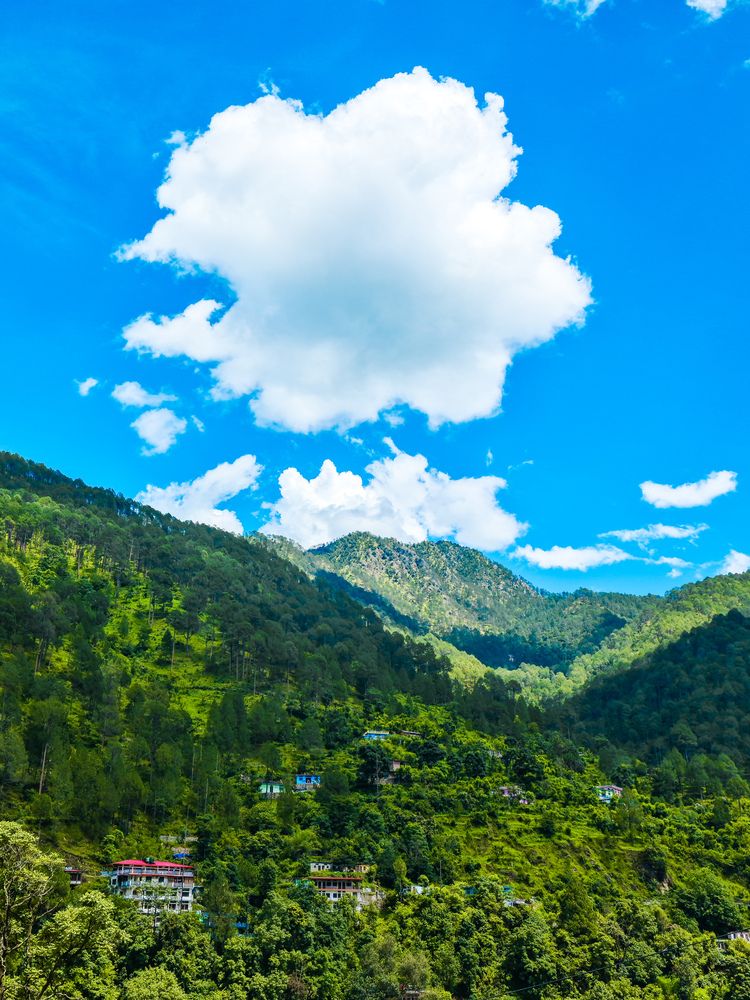 Photograph by Dhruv Jangid