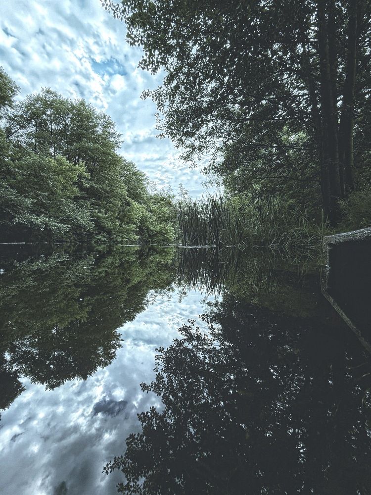 Photograph by Анна Гусева