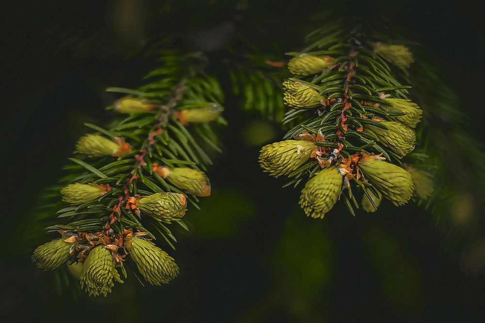 Photograph by Татьяна Бравая