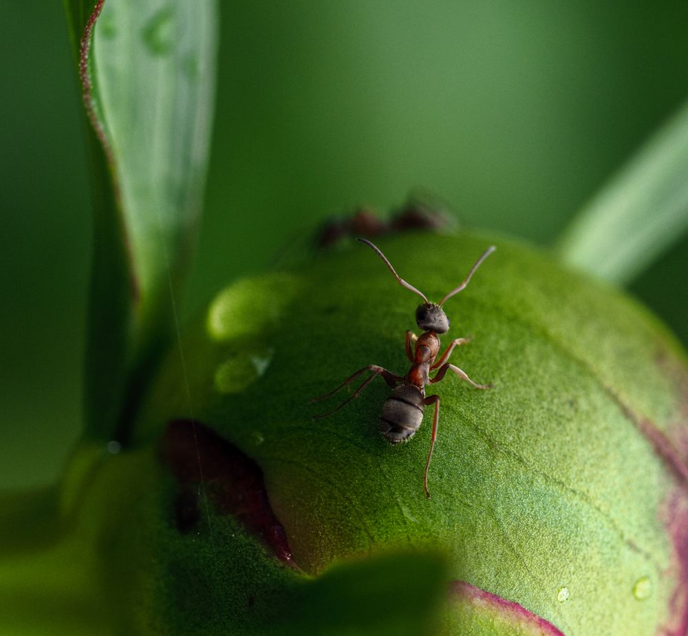 Photograph by Лейла Прощина