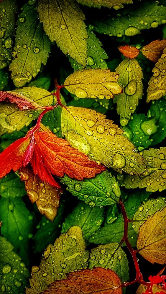 Photograph by Desislava Ivanova