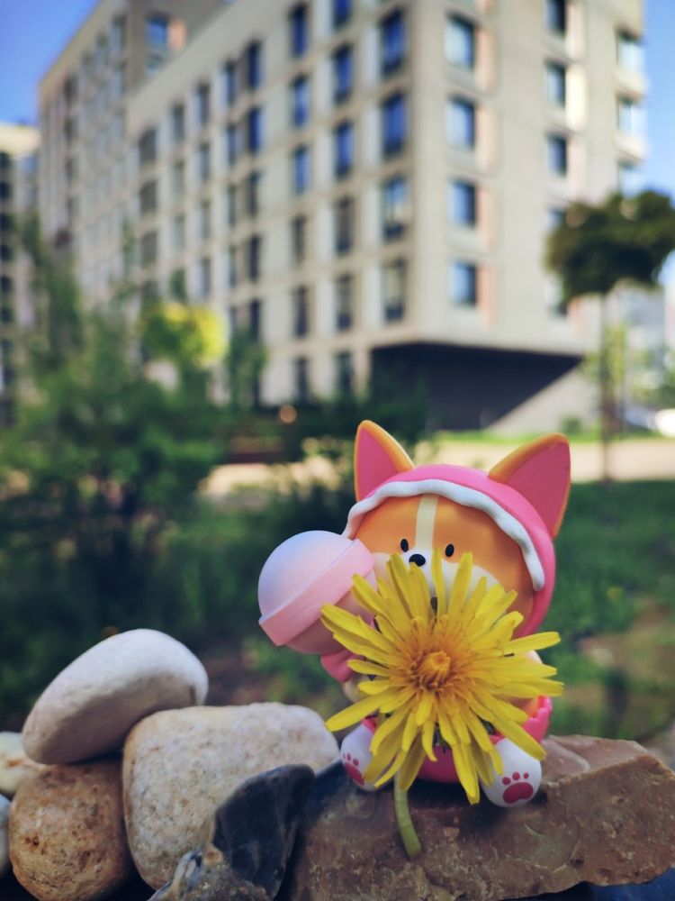 Photograph by Наталья Зверева