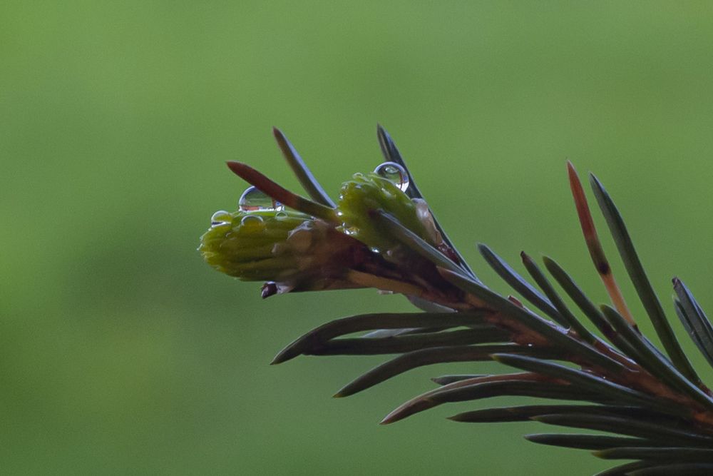 Photograph by Сергей Блохин