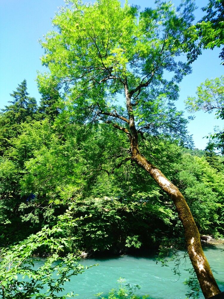 Photograph by Ольга Булавкина