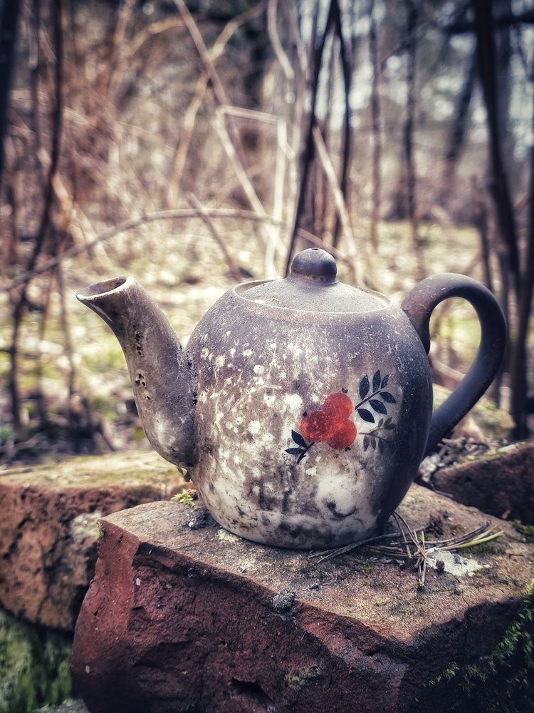 Photograph by Светлана Кустова
