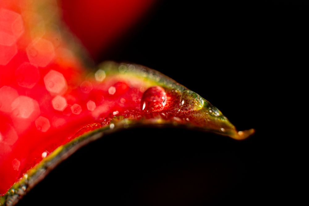 Photograph by Кемеров Игорь