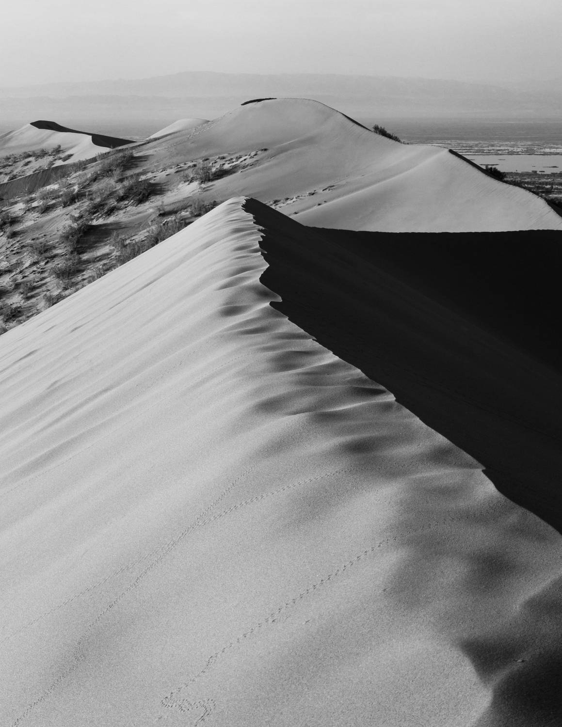 Photo #13626186