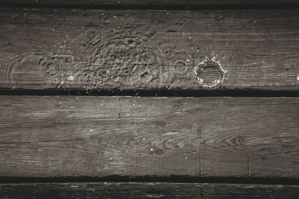 Photograph by Дмитрий Забуга