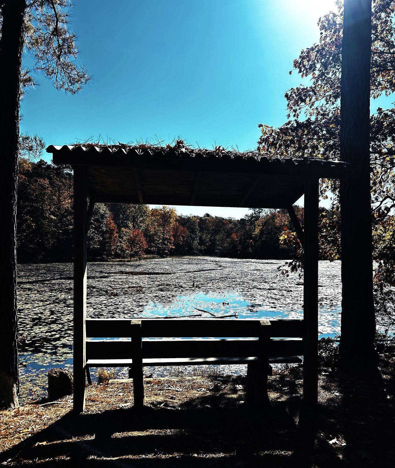 Photo #13626475