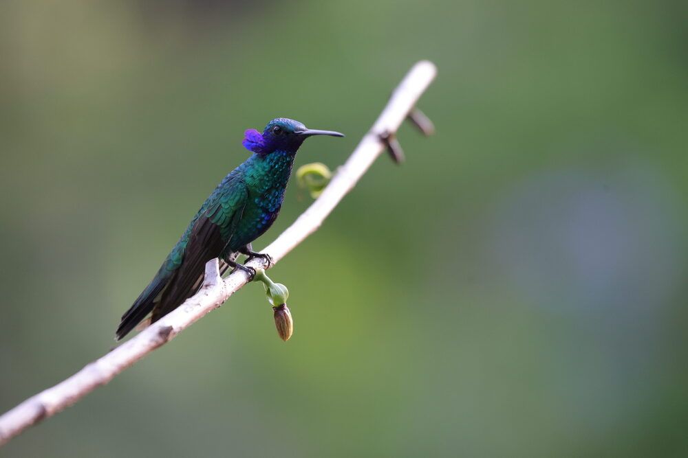 Photograph by Tomás Fernández