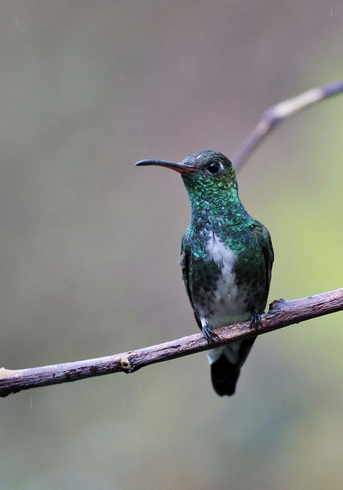 Photograph by Tomás Fernández