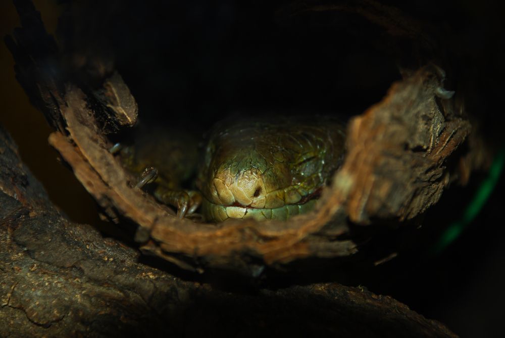 Photograph by Александр Сушилин