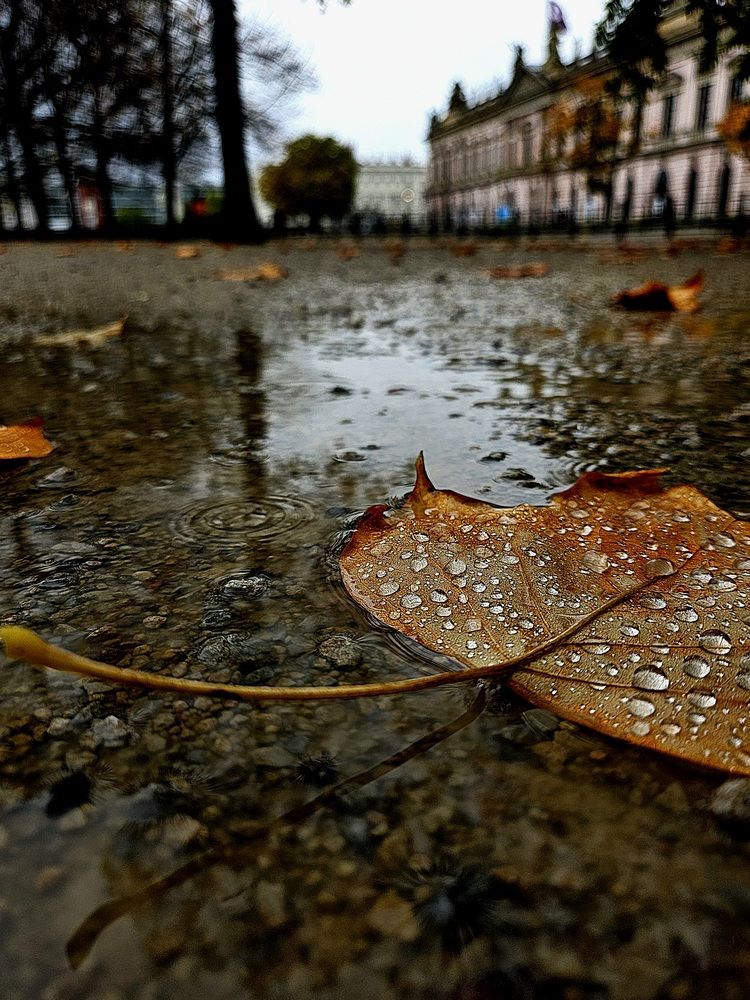 Photograph by Юлия Ковалева