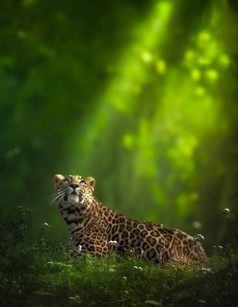 Photograph by prasenjit sinha