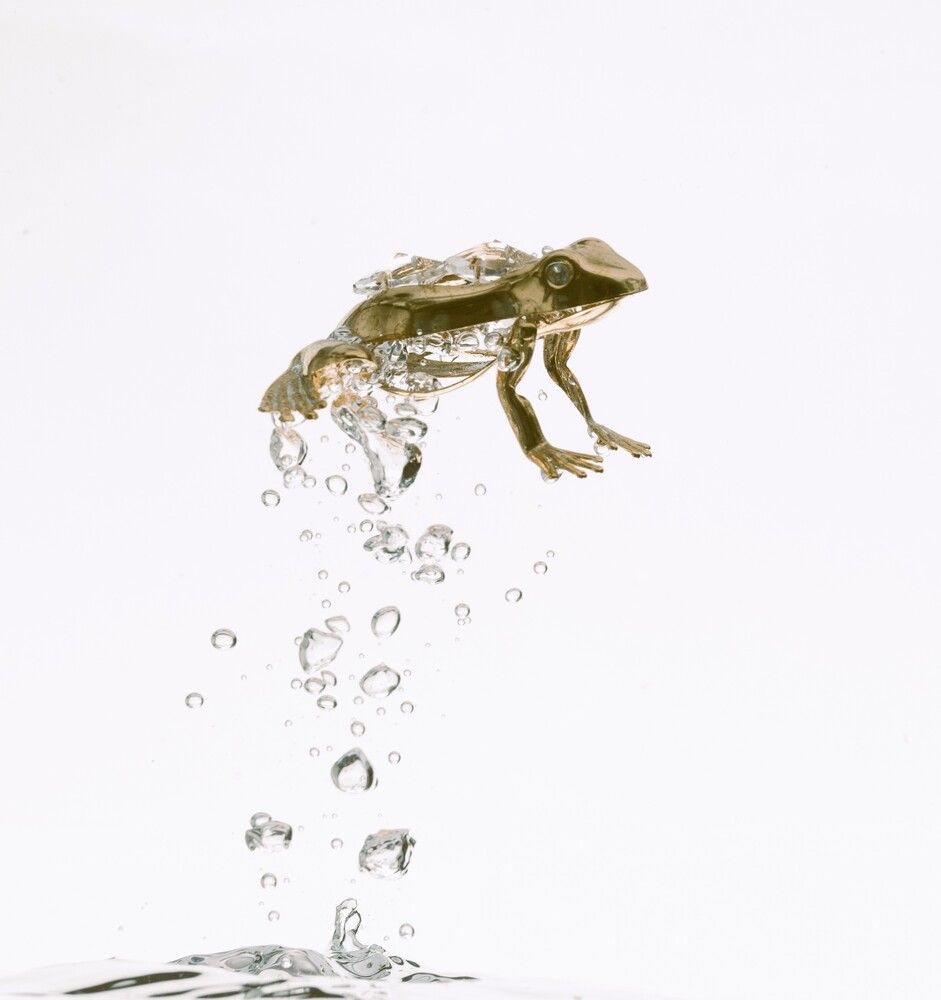Photograph by Дашима