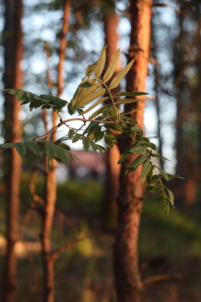 Photograph by Татьяна Бецкая