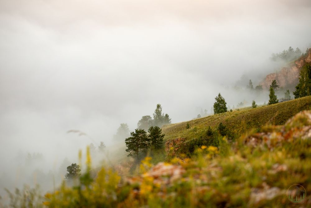 Photograph by Сергей Третьяков