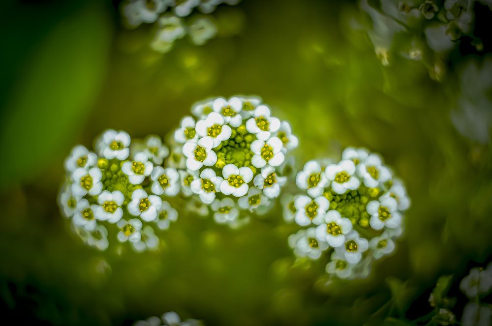 Photograph by Алексей Мякота