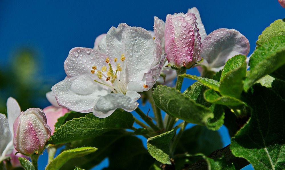 Photograph by Александр