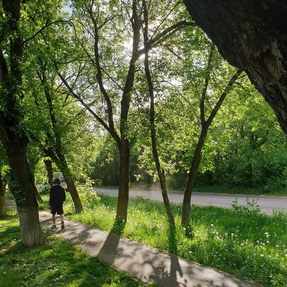 Photograph by Софья
