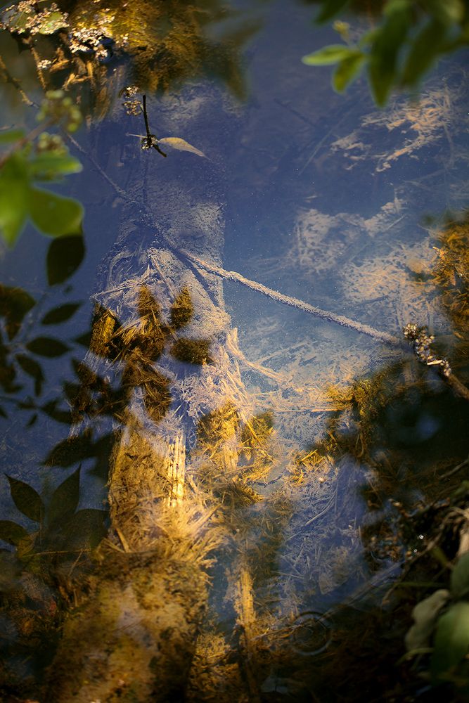 Photograph by Владимир Ходаковский