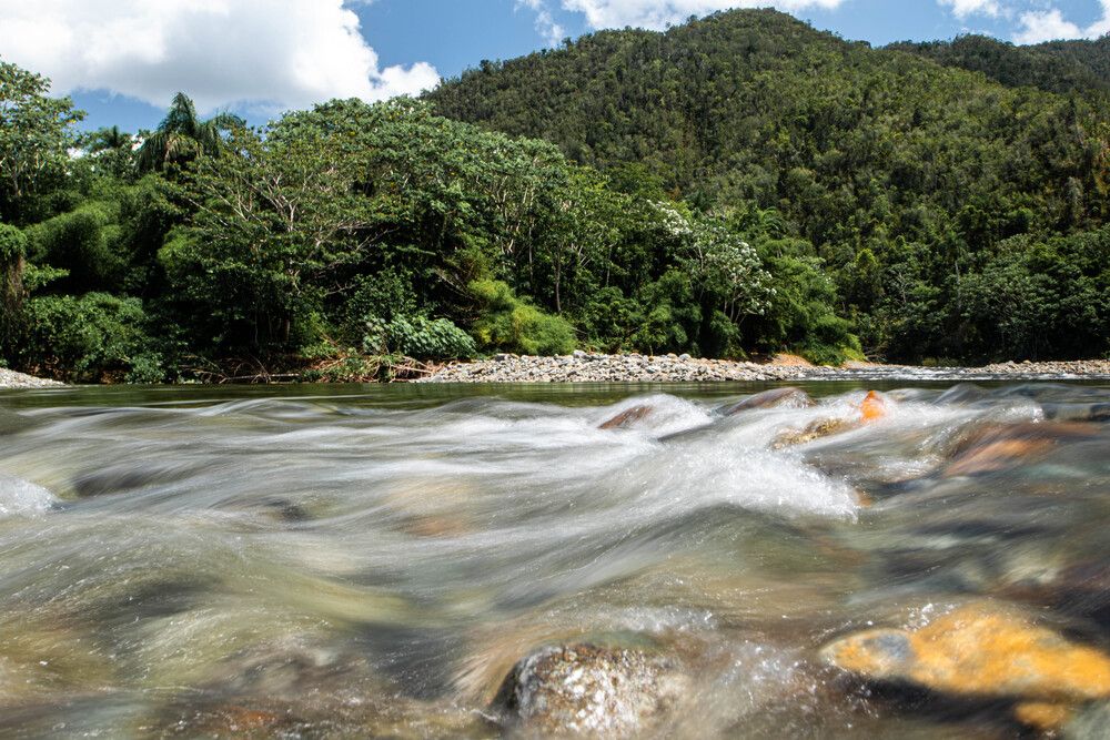 Río Toa