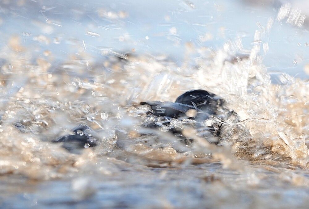 Photograph by Zakharov Matvey