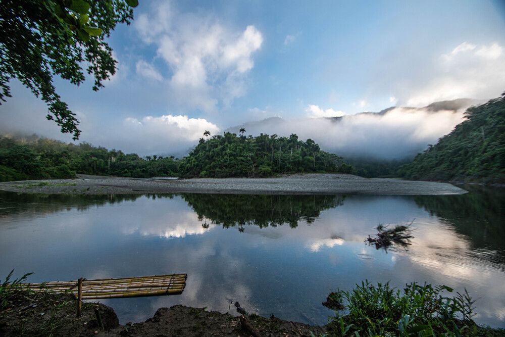 Reflejos