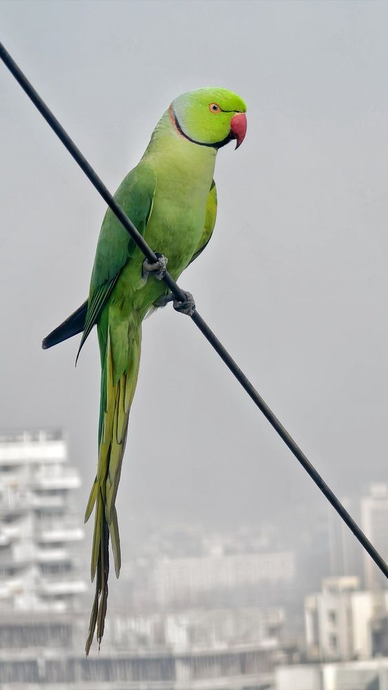 Photograph by Sahil Jadhav