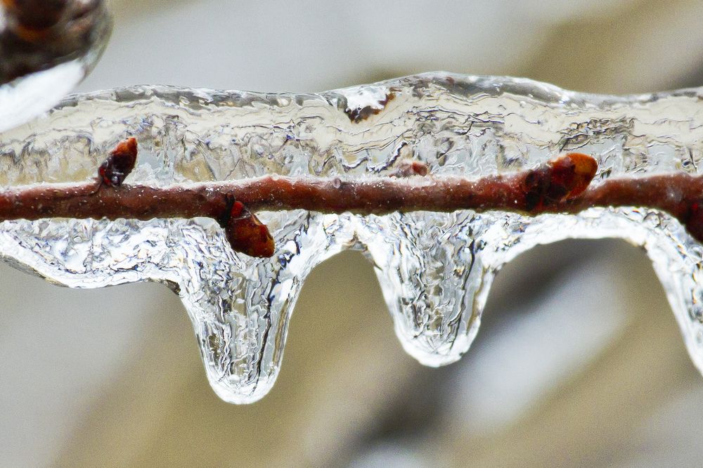 Photograph by Владимир Бочковский
