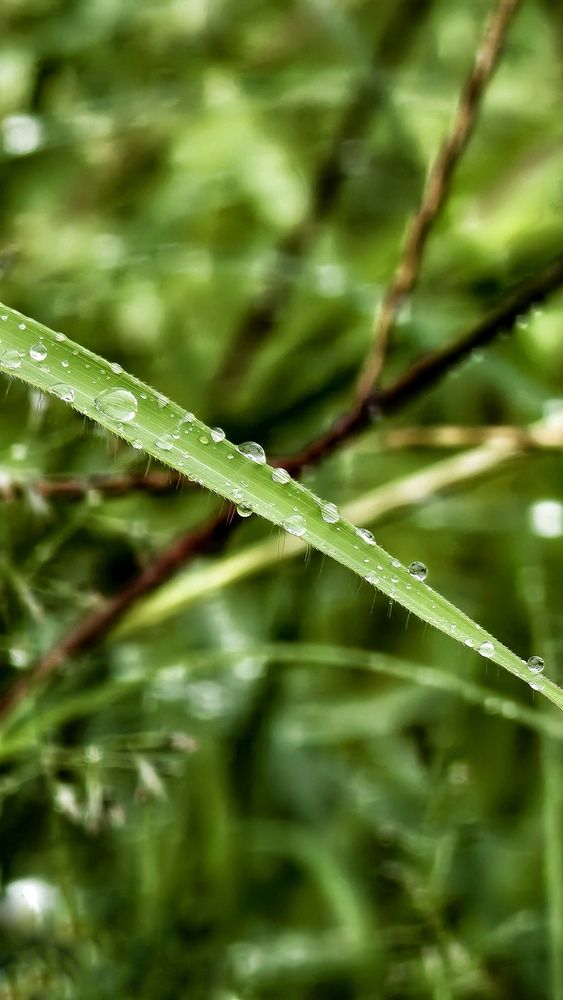 Photograph by Sahil Jadhav