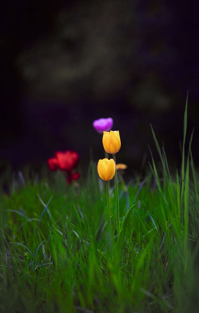Photograph by Искандар Газизов