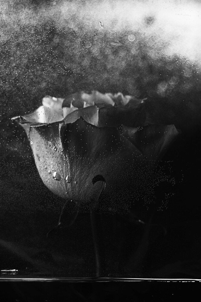 Photograph by Анастасия Нестерова
