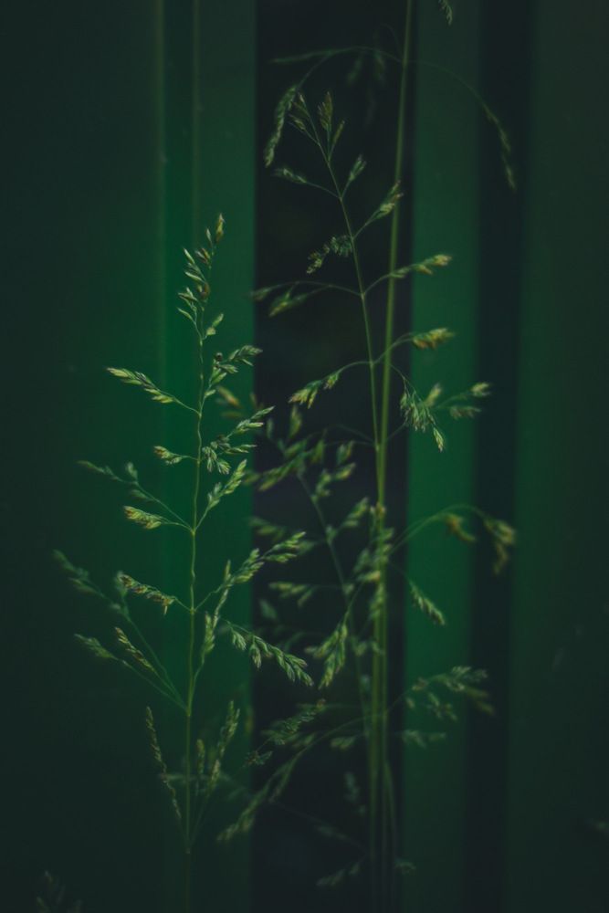 Photograph by Наталья Мыкольникова