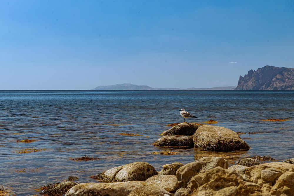 Photograph by Максим Торохов
