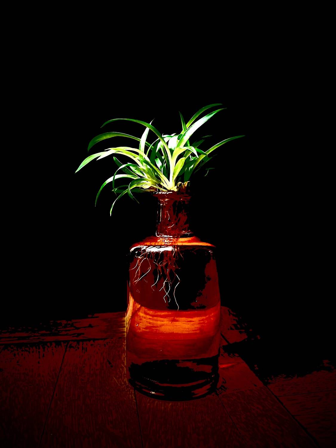 Green growth