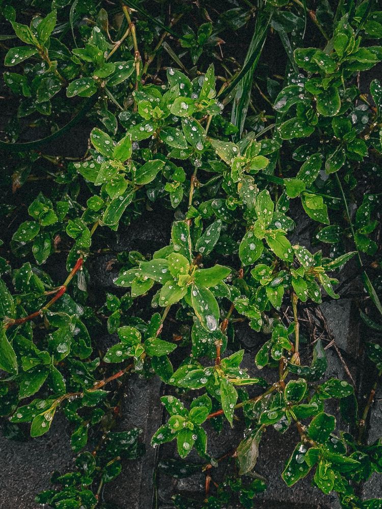 Photograph by Александр Михайлович