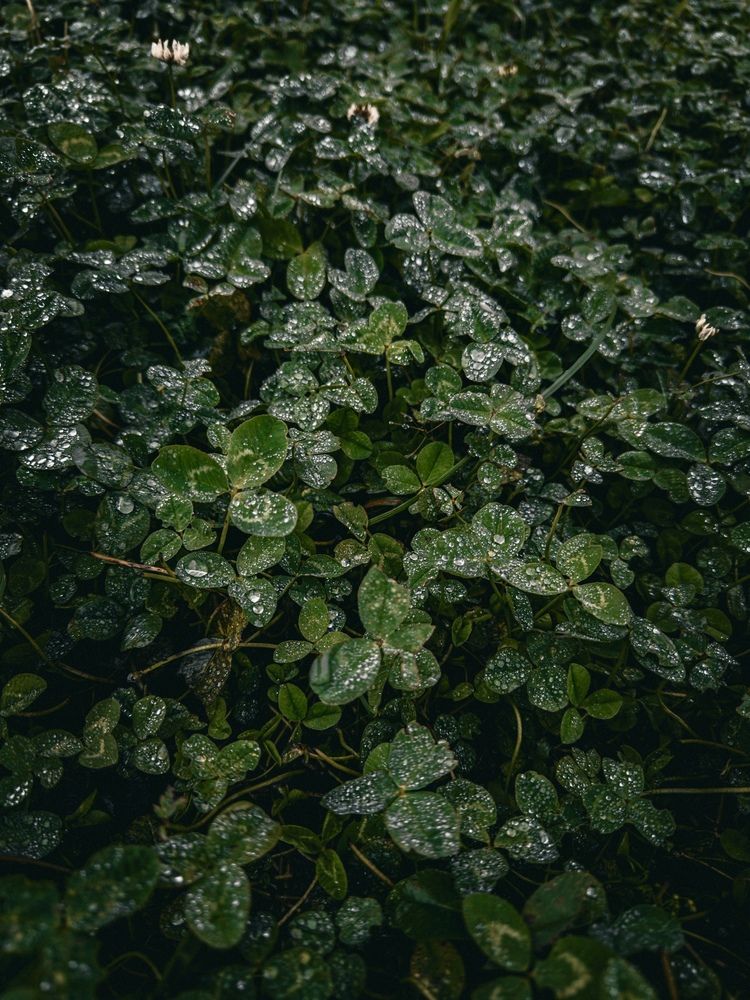 Photograph by Александр Михайлович