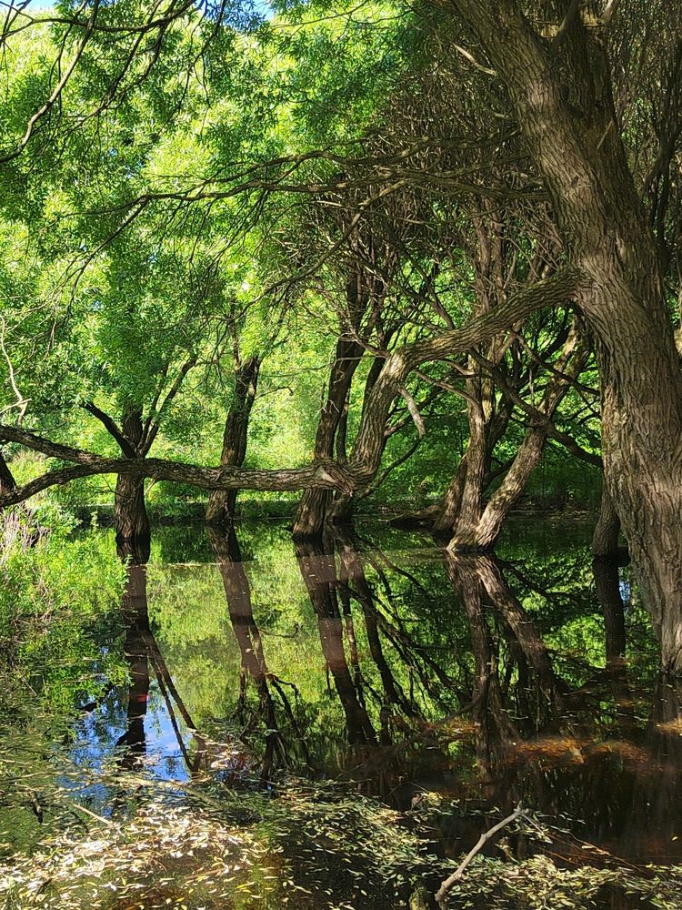 Photograph by Ирина Сидоренко