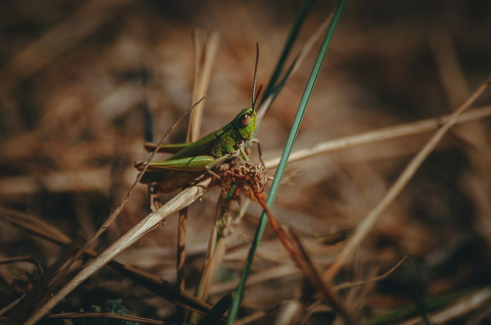 Photograph by Ольга Глущенко
