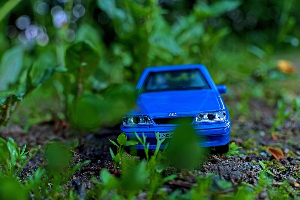 Photograph by Михаил Косолапов